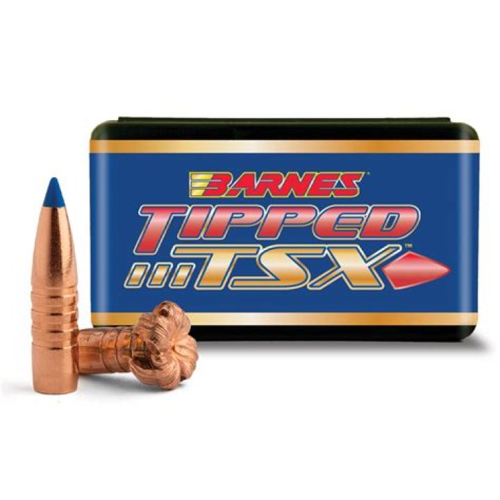Are Barnes TSX bullets lead free?