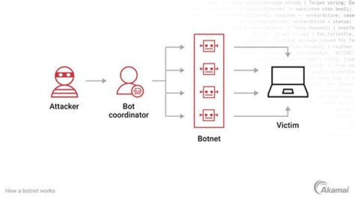 Are bot nets illegal?