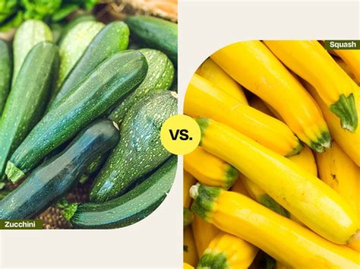 Are zucchini self fertile?