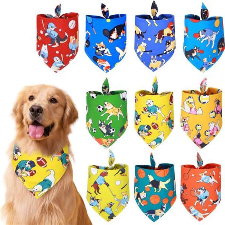Can pugs wear bandanas?