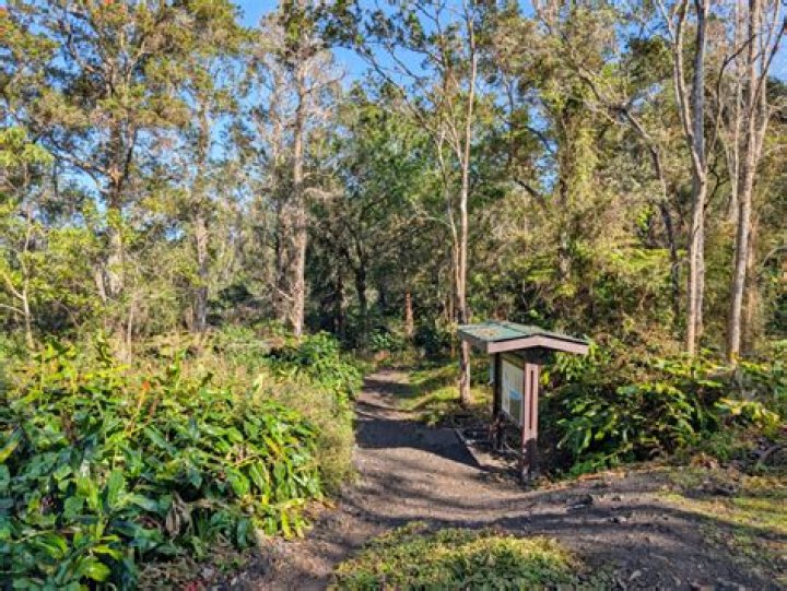 Can you hike Kona Cloud Forest?