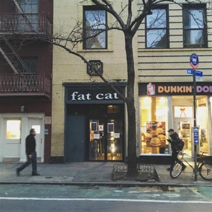 Did Fat Cat nyc close?