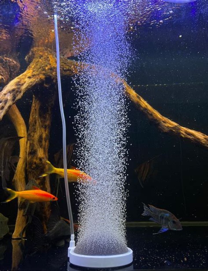Do bubblers help fish tanks?