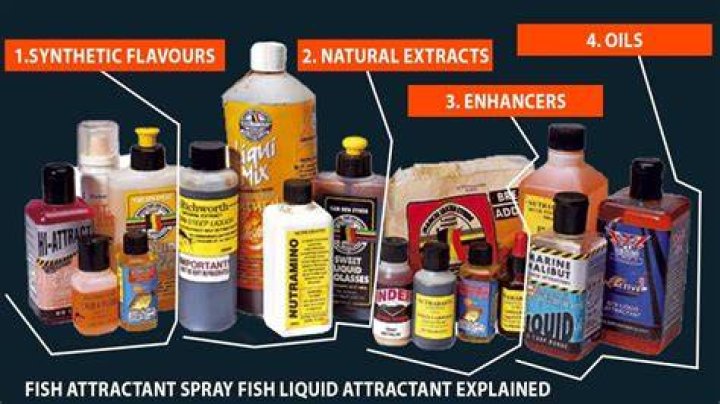 Do fish attractant sprays work?