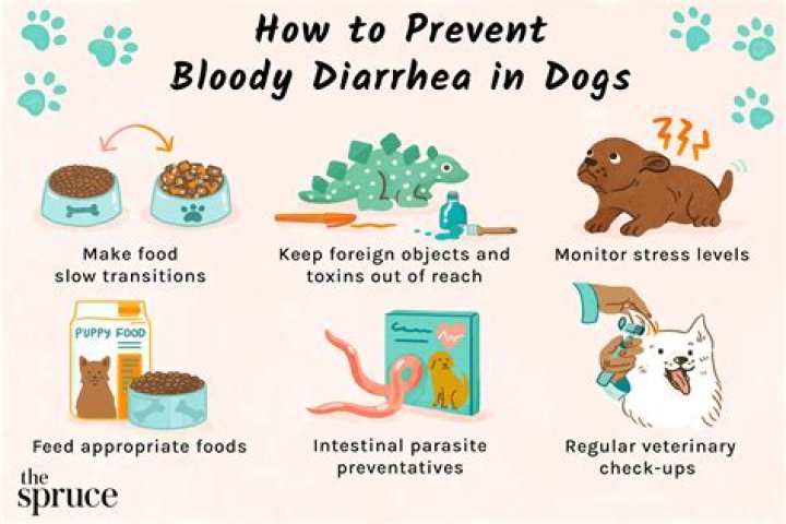 Do green apples help with diarrhea?