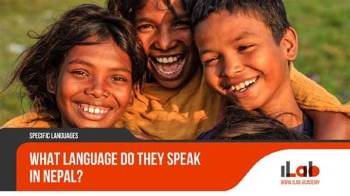 Do they speak a language in Pingu?