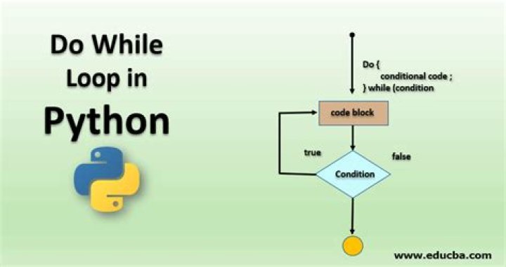 Do While loop in Python examples?
