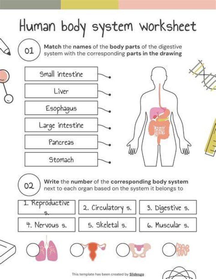 Do you learn about the human body in 5th grade?