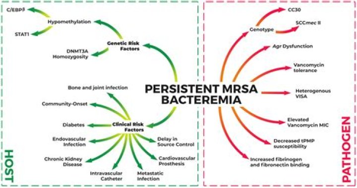 Does ertapenem treat MSSA?