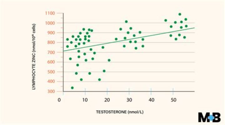 Does sugar affect testosterone levels?