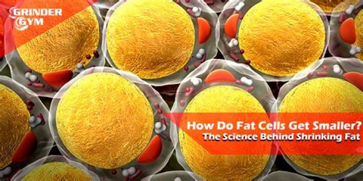 Does tanning shrink fat cells?