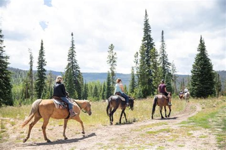 Great Places for Horseback Riding Lessons in Boynton & Delray | Macaroni KID Boynton Beach