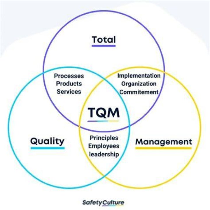 How can you apply the three principles of total quality management?