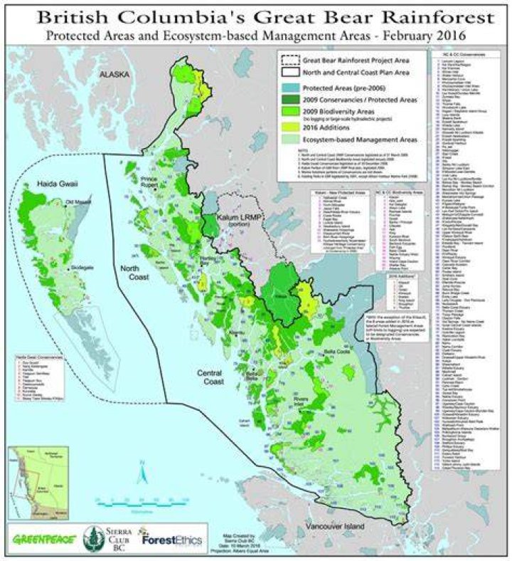 How did the Great Bear Rainforest become a protected area?