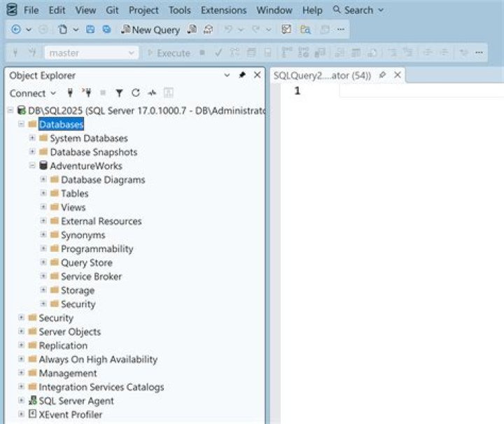 How do I access SQL database in VBA?