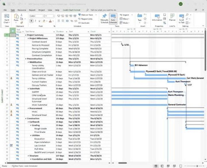 How do I expand all tasks in MS Project?