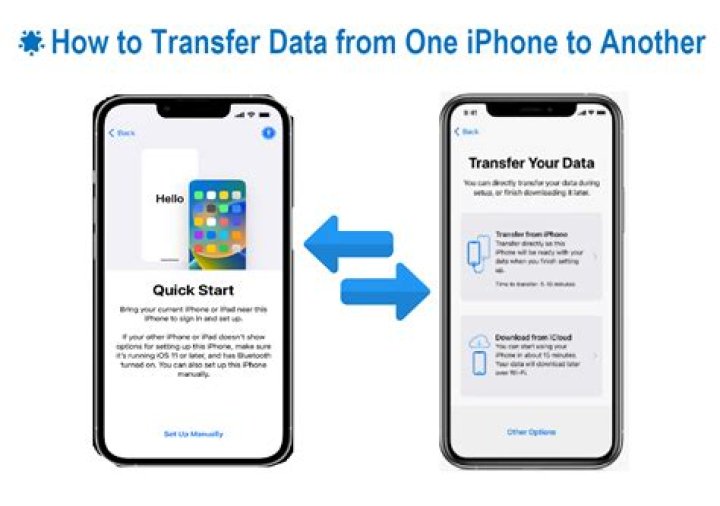 How do I find data manager on iPhone?