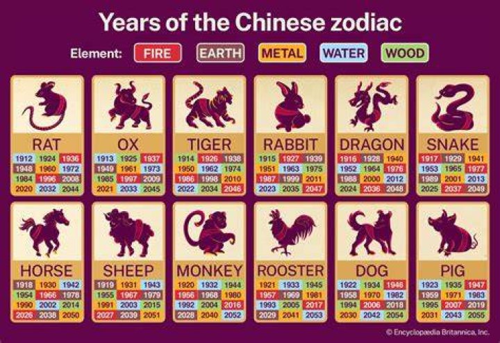How do I find my Chinese zodiac element?