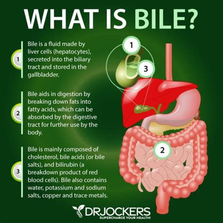 How do you get rid of bile reflux naturally?