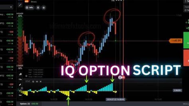 How do you get signals for IQ Option?