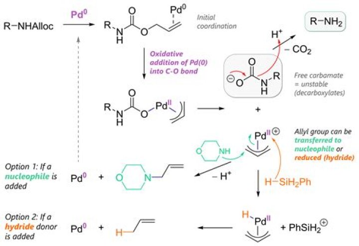 How do you synthesis morpholine?