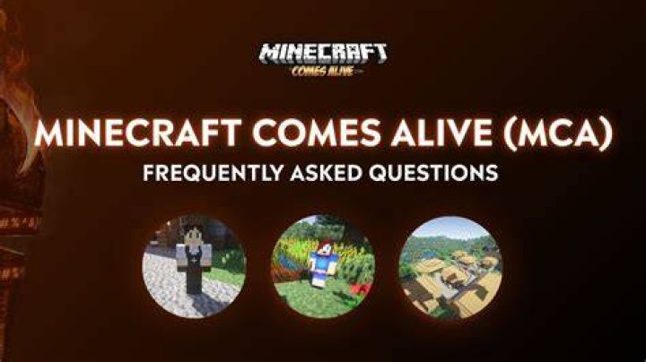 How do you use Minecraft Comes Alive commands?