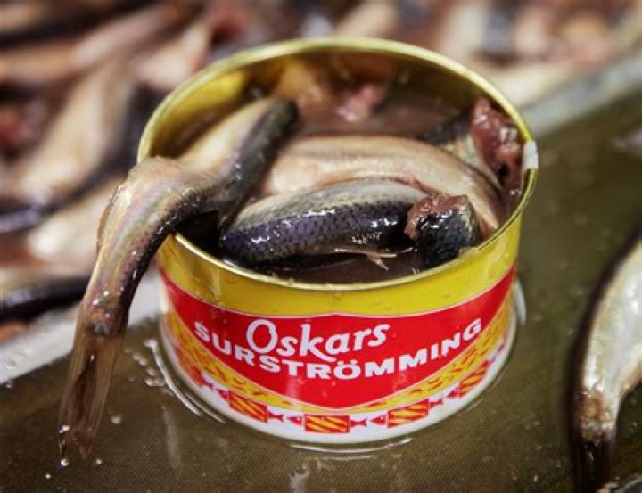 How long is surstromming fermented?
