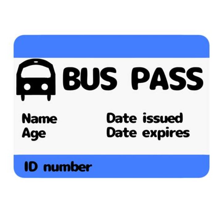 How many types of bus passes are there?