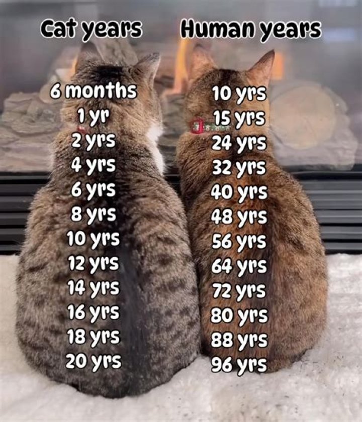 How many years is TeleTech in the Philippines?
