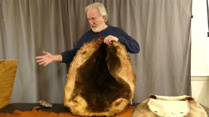 How much is a beaver pelt worth?