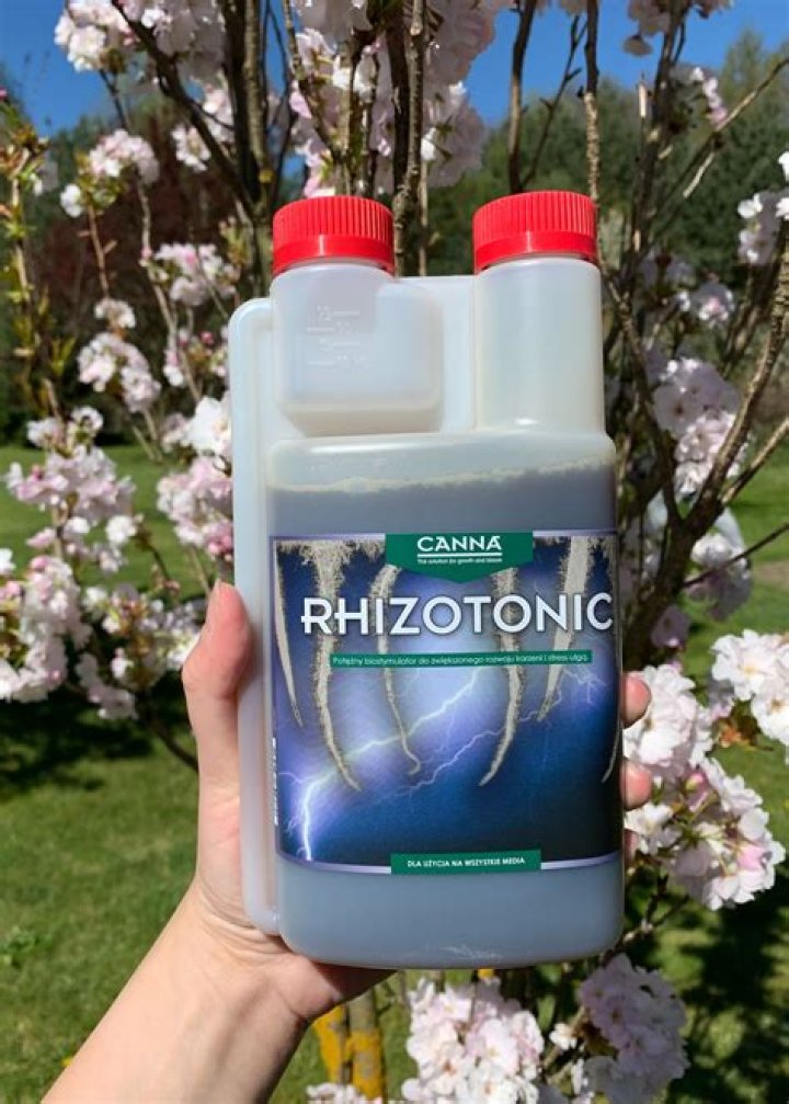 How much is a canna Rhizotonic?