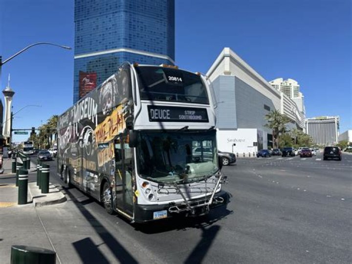 How much is the SDX bus Las Vegas?