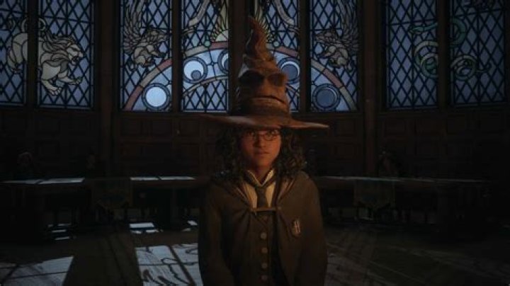 How To Get The Sorting Hat Filter On TikTok?