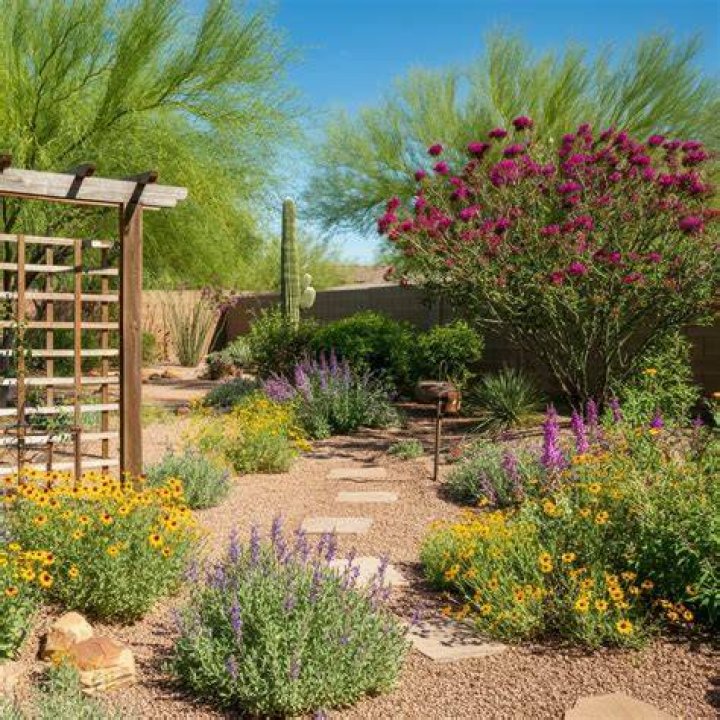 How would you design a drought-tolerant landscape?