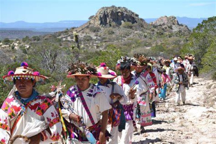In what part of Mexico do the Huichol indigenous people live?