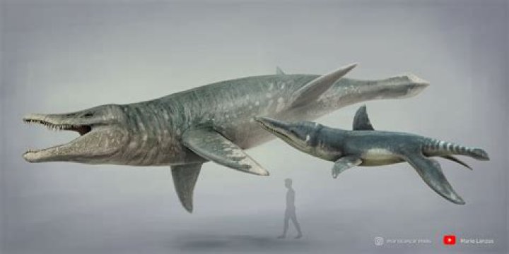 Is a megalodon bigger than a Liopleurodon?