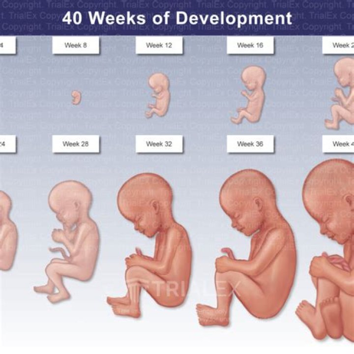 Is baby fully developed at 39 weeks?