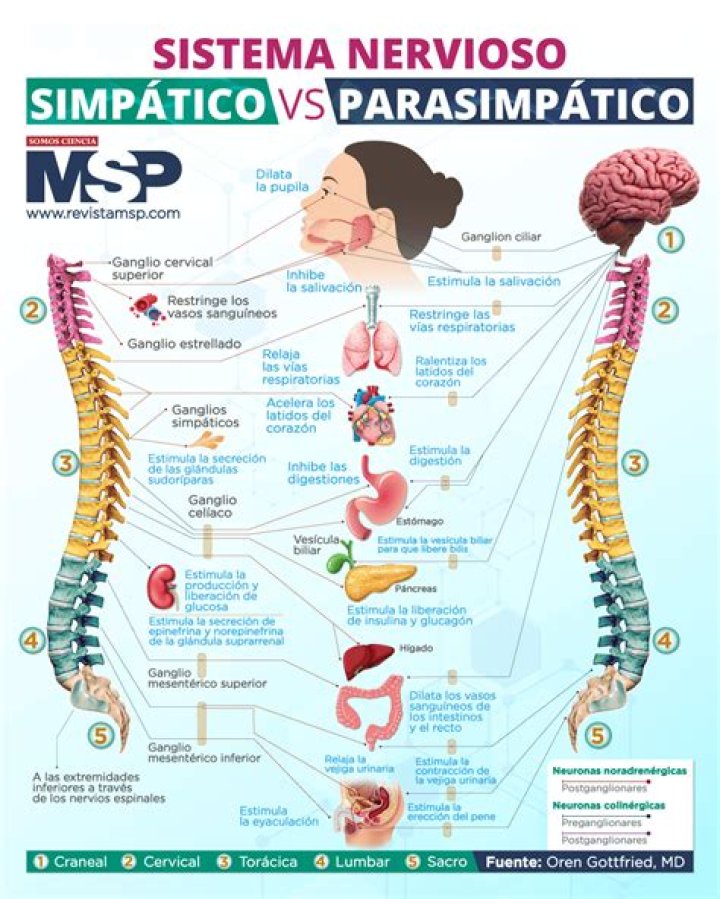 Is it Simpatico or Sympatico?
