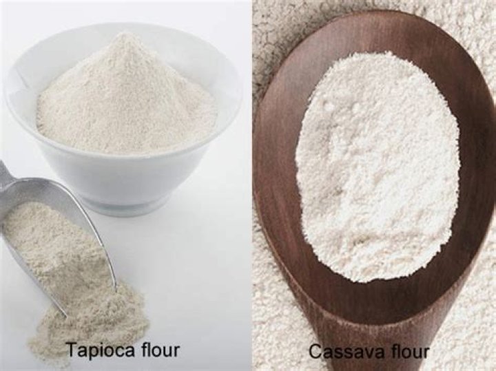 Is tapioca and cassava the same?