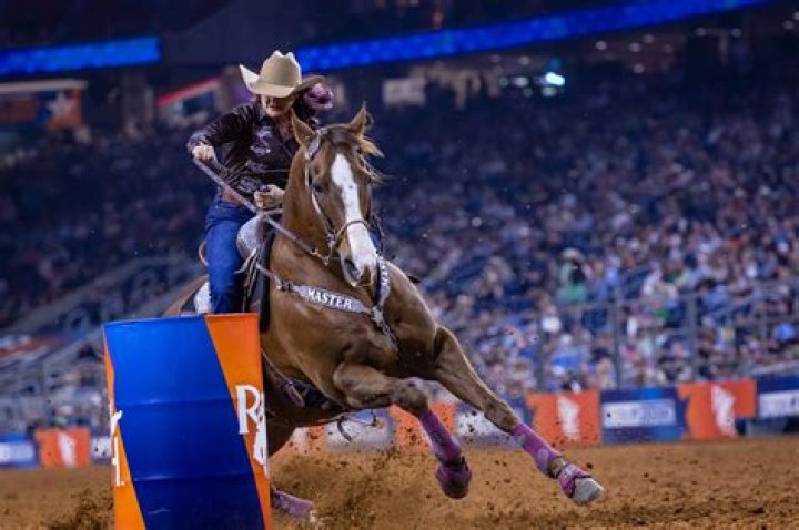 Is the Houston Rodeo carnival open?