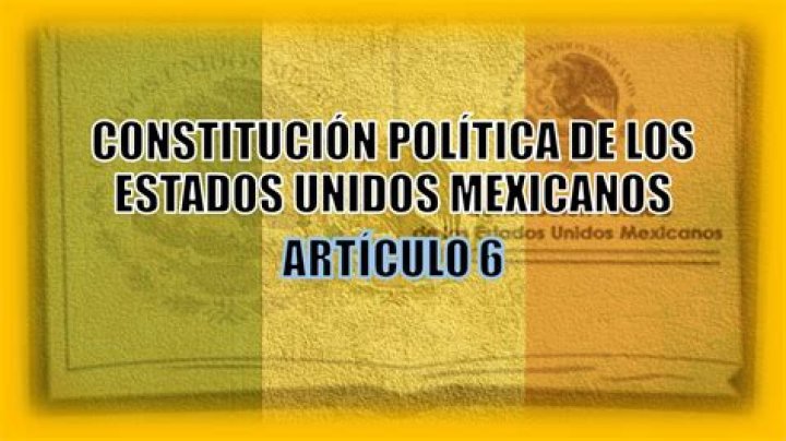 Que quiere decir el articulo 6?