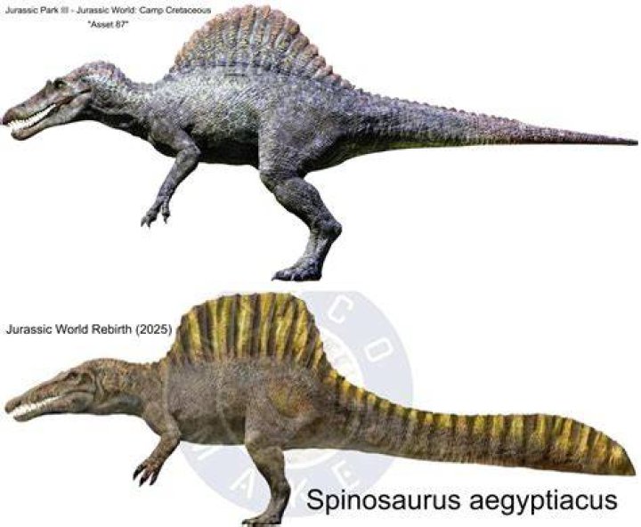Was the Rex in JP3 an adult?