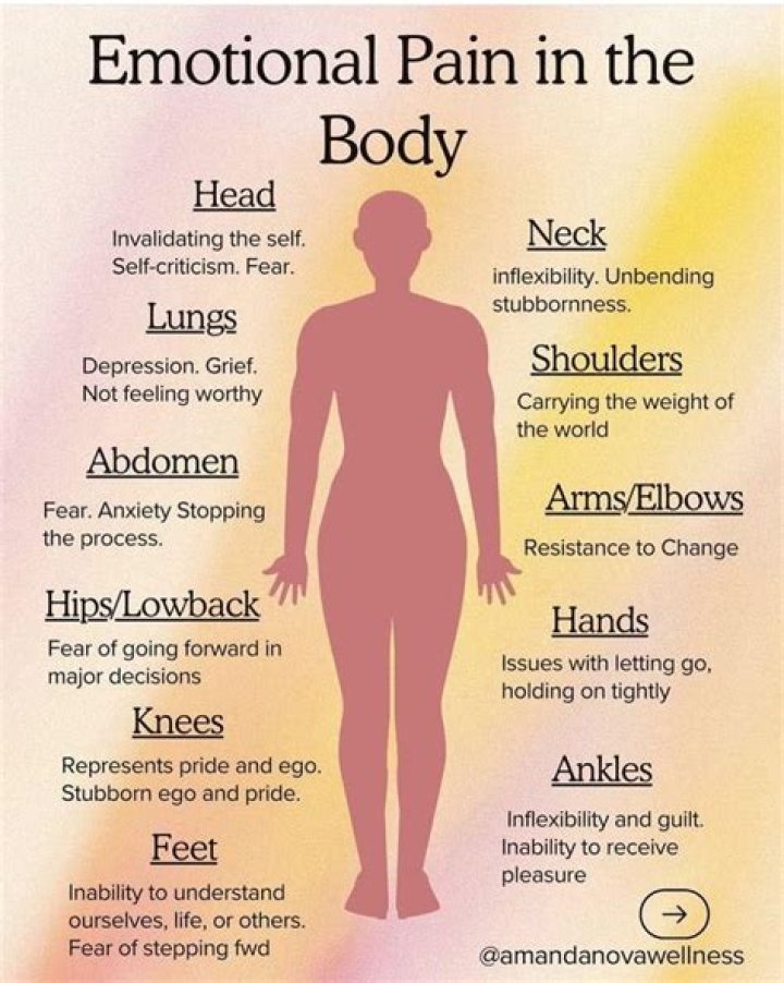 What animals Cannot feel pain?