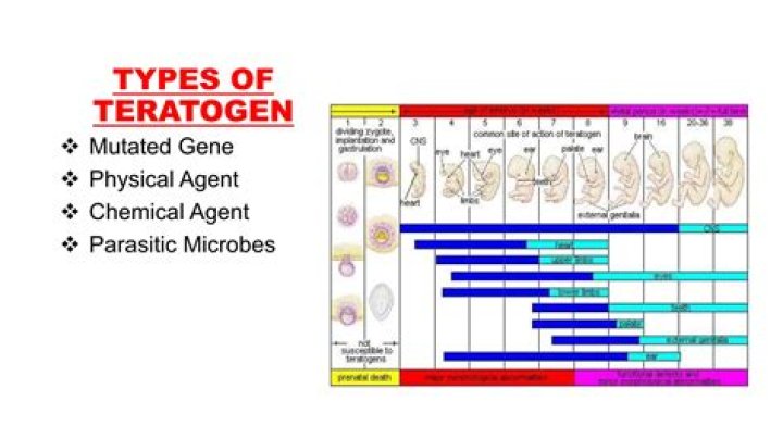 What are 5 types of teratogens?