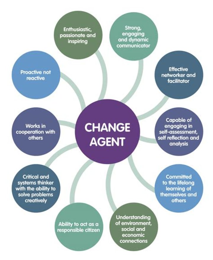 What are change agents in healthcare?