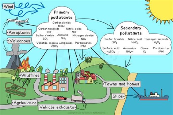 What are considered conventional pollutants?