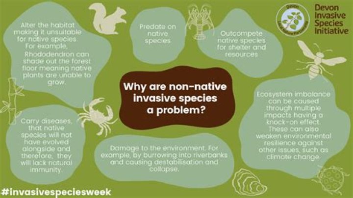 What are some examples of non-native species?