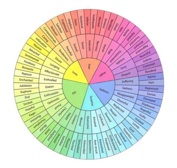 What are the emotions on the emotion wheel?
