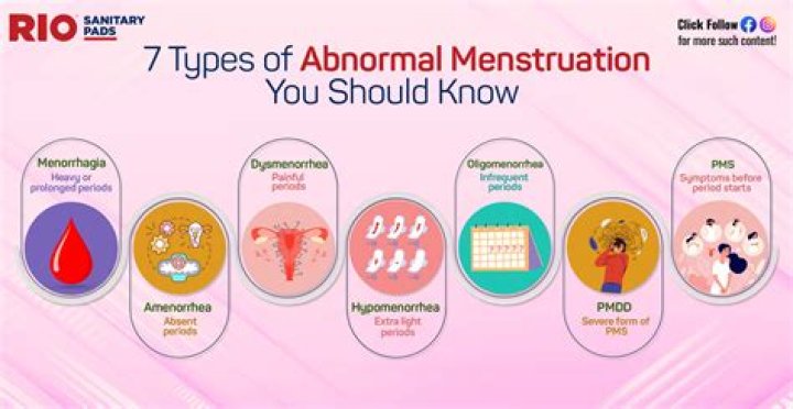 What are the menses?