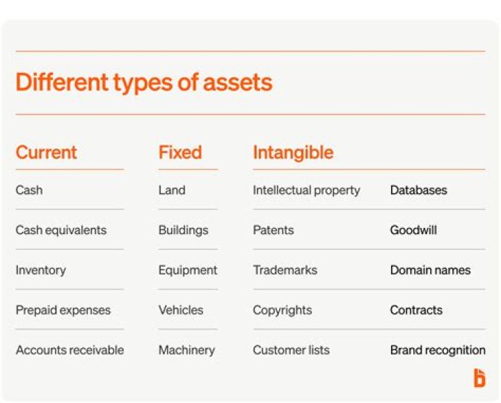 What are the non-current assets examples?